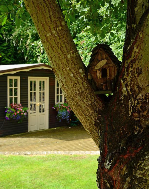 Ashbrook Bed And Breakfast Llandudno Eksteriør bilde